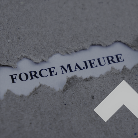 Force Majeure